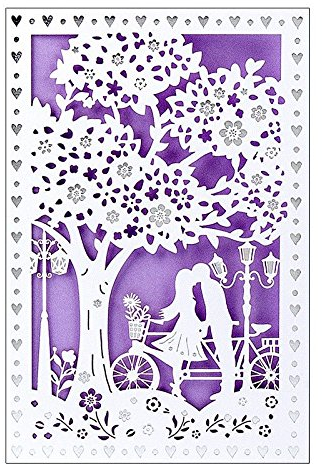 Ideen mit Herz Hochzeitskarte | 12 cm x 18 cm | Mit farbigem Einleger & Umschlag | Grußkarte für Hochzeit | Glückwunsch-Karte | Motiv: Küssendes Paar, Liebespaar am Fahrrad (Design 2)