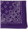 Carolina HAV-A-Hank Paisleymuster, 55,9 x 55,9 cm, Violett
