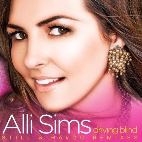 Driving Blind (Still & Havoc Remixes)