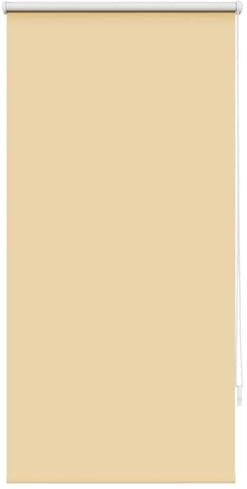 Store Enrouleur occultant Beige 60 x 120 cm