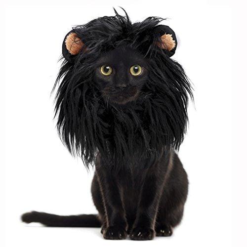 Onmygogo Löwenmähne Perücke für Katzen und Hunde, Lustige Haustier Katze Kostüme für Halloween Weihnachten, Pelzige Haustier Kleidung Zubehör (S, Schwarzer Löwe)