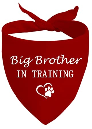 1 Stück Hundehalstuch für große Schwester/Bruder im Training, Schwangerschaftsankündigung, Geschenk (Big Brother D)