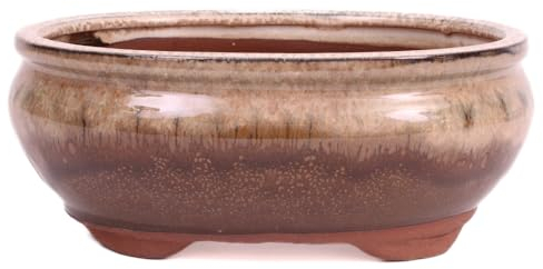 Bonsai - Schale oval 21 x 16.5 x 8 cm, beige/braun 22038