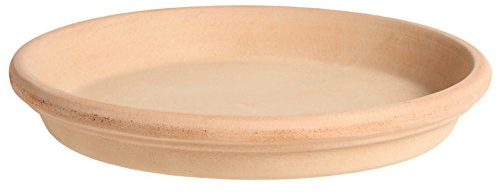 Pflanzenteller | Pflanzenuntersetzer | Teller | Vogeltränke aus Terracotta in verschiedenen Größen -Echt Terracotta- Ideal für Pflanzgefäße (21cm)