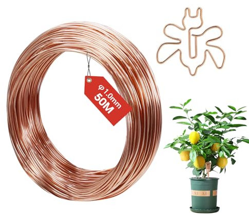 FIFIBANG 50M Kupferdraht, Ø1mm Copper Wire, T2 Reiner Kupferdraht Blank, Basteldraht Schmuckdraht, Gardening Kupferdraht, Kupferspulen für Garten, Pflanzen und Gemüseanbau DIY