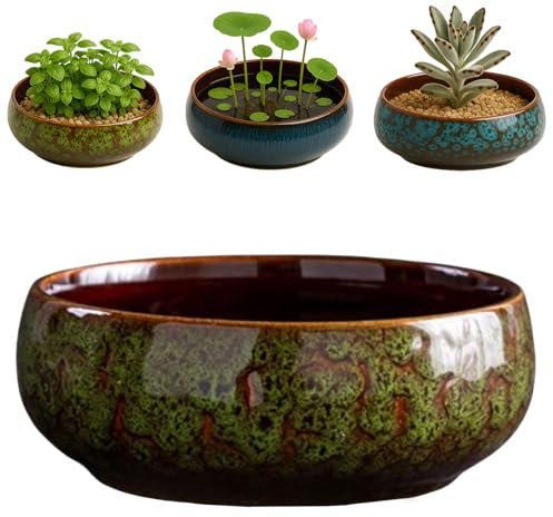 Oncpcare Lotus Pot Planter – Glazed Ceramic Indoor Plant Bowl Lotus Pot for Bonsai, Succulents | Shallow Hydroponic Decorative Oriental Flower Bowl (Green)