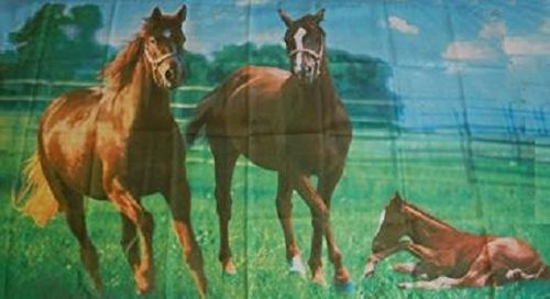 U24 Fahne Flagge Pferde Motiv Nr. II 90 x 150 cm
