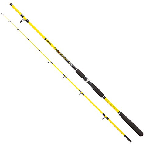 Jenzi Angelrute Continuum, WG: 20-100g, Länge: 3,00m Transportlänge: 156cm, Gewicht: 331g, Teile: 2
