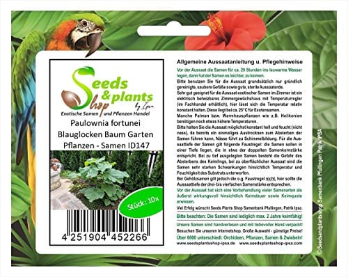 Stk - 10x Paulownia fortunei Blauglocken Baum Garten Pflanzen - Samen ID147 - Seeds & Plants Shop by Ipsa