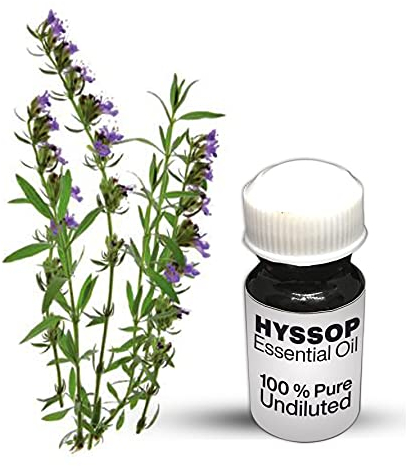 Ätherisches Ysop-Öl / 100% reines ätherisches Orangenöl, Premium-Qualität (250 ml)