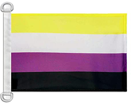 AZ FLAG Bootsflagge Non-Binary Stolz 45x30 cm, Aussenverwendung - Genderqueere Bootsfahne Aus Gestricktem Polyester Mit Plastikringen