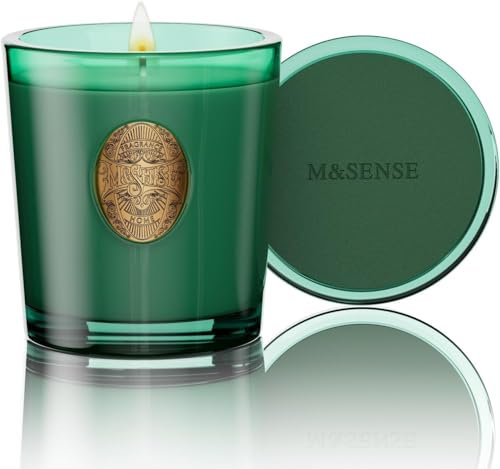 M&SENSE Duftkerze Evergreen Kiefer,260g Duftkerzen im Glas Natürliche Soja-Kerze,50 Stunden Brenndauer,Kerzengeschenke für Frauen & Männer,Geschenk Kerze