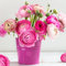 Ranunkeln Zwiebeln Rosa Deko Blumen Blumenzwiebeln MehrjäHrig Winterhart Gartenpflanzen FrüHlingsblüHer Zwiebeln Frisch Butterblumen Winterharte KüBelpflanzen Buttercup Blumen 8 Ranunkeln Zwiebel