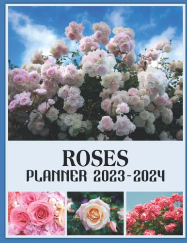 Roses Photo Book: Picture Book Of Roses With 30+ Photos Pictures, 2023 Photobook For Birthday Christmas Gifts For Men Women Mom Dad Boy Girl