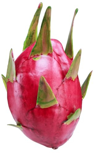 Viana Künstliche Drachenfrucht Pitahaya Deko Frucht für exotische Dekoration