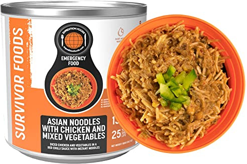 Asian Noodles with Chicken and Mixed Vegetables (Survivor Foods Range)