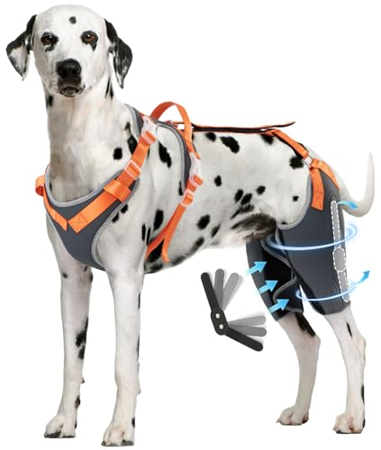 CHAMIN RISURRY Hunde-Kniebandage für Hinterbeine mit Metallschienenscharnier, Unterstützung für Kreuzbandverletzungen, Arthrose, Luxating Patella, Muskelkater usw. (Grau, L)