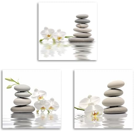 CXHOSTENT Zen Leinwand Wandbilder 3-teilig Zen Stein mit aquatischen Kunstdrucken Spa Bilder für Badezimmer Yoga Raumdekoration (B, 30.00 x 30.00 cms x 3PCS)