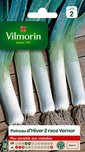 Vilmorin 3846642 Pack de Graines Poireau d'Hiver 2 Race Vernor Création