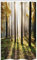 ABAKUHAUS Natur Schmaler Duschvorhang, Waldblätter bei Sonnenaufgang, Badezimmer Deko Set aus Stoff mit Haken, 120 x 180 cm, Gelb Grün Braun