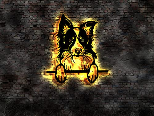 Border Collie Tableau LED en bois pour chiots, chiots, livre, chien, éleveur, harnais, gamelle, laisse de friandises
