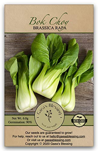 Gaea's Blessing Seeds - Bok Choy Seeds (2.0g) Canton Pak Choi Chinese Cabbage Non-GMO Seeds with Easy to Follow Planting Instructions - Heirloom 90% Germination Rate