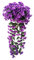 HAOSHICS 2 flores artificiales, plantas de vid colgantes de color violeta artificial, guirnalda colgante de seda, flores de vid para la pared del hogar, jardín, boda, decoración de fiesta (morado)
