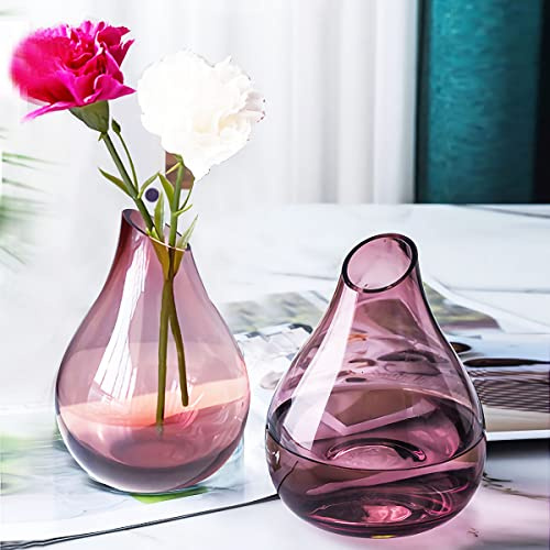 XIUWOUG Kleine Klarglasvase,Glasknospenvase,Dekorative Glasvasen für Tafelaufsatz,Wohnkultur,Tischdekoration, Regaldekoration (nur Vase),Double