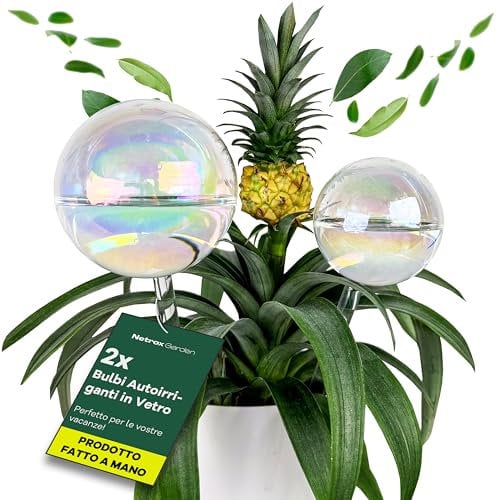 Netrox Cono di irrigazione in argilla – ideale in vacanza fino a 14 giorni – irrigazione automatica per piante d'appartamento, giardino e balcone – irrigazione, sistema di irrigazione, distributore