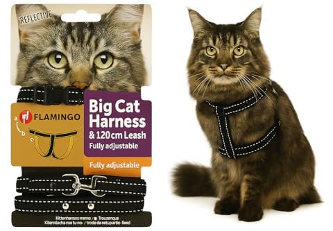 Flamingo Katzengeschirr mit Leine Elza – Schwarz | Sicher, komfortabel & perfekt für große Katzen!