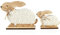com-four® 2x Coniglietti pasquali accovacciati da appoggiare - figure decorative per Pasqua in legno - grande e piccolo (Set02 - famiglia di conigli)