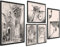3er Moderne Vintage Poster Set | Fahrrad Foto Sephia | Bilder Wohnzimmer Deko Schlafzimmer | 40x50/30x40/21x30cm ohne Rahmen
