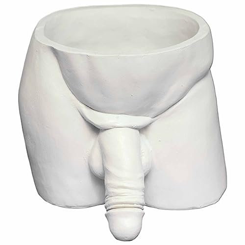 Fpxphonix Lustiger Übertopf, Pflanzgefäß, Pflanzgefäß aus Kunstharz, einzigartige lustige Blumentöpfe, Indoor-Kunstvase, Töpfe für Zimmerpflanzen, Vase für Sukkulenten und Kakteen (weiß)