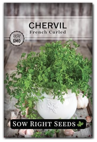 Sow Right Seeds - French Curled Chervil Seeds for Planting - Non-GMO Heirloom Packet with Instructions to Plant & Grow an Outdoor or Indoor Herb Garden - Fine French Parsley - Medicinal & Culinary (1)