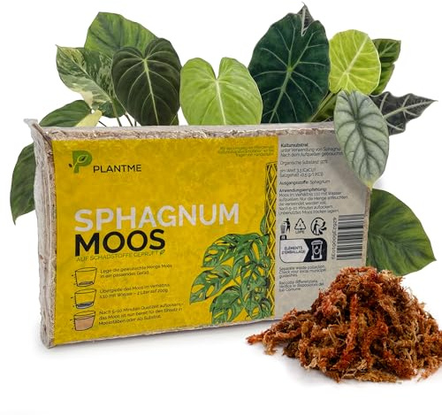 PlantMe Sphagnummoos aus Chile, gepresst 100g (ergibt ca. 5 L) – langfaseriges Moos für Zimmerpflanzen, Moosstäbe, Monstera, Philodendron, Alocasia, Orchideen & Karnivoren