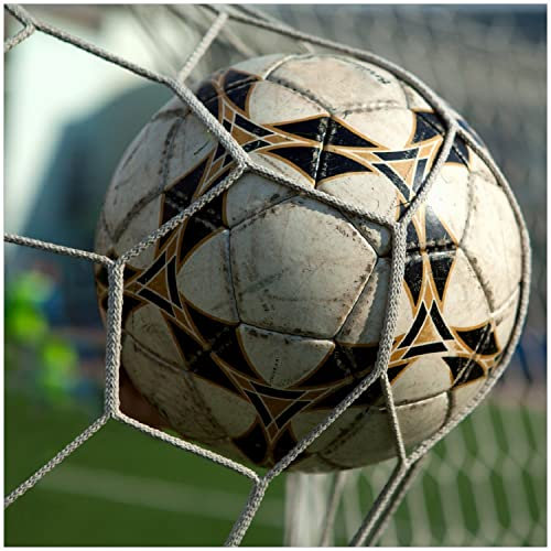 Wallario Memoboard aus Glas mit Motiv, Magnet-Tafel in 50 x 50 cm in Premium Qualität Fußball - Ball im Tor - Bolzplatz