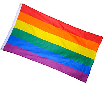 FONDOTIN 2 Stücke 3x5ft Regenbogen Flagge Stolz Banner Stoff Wimpel Decor Messing Ösen