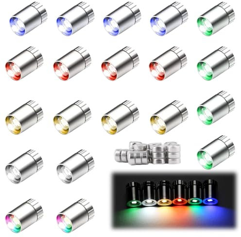 RYAN 20 STK Mini Led Licht Micro LED Mini Led Puppenhaus Beleuchtung Kleine Led Lichter für Basteln Epoxidharz Deko Vitrinen Figurenvitrine (6 Farbe)