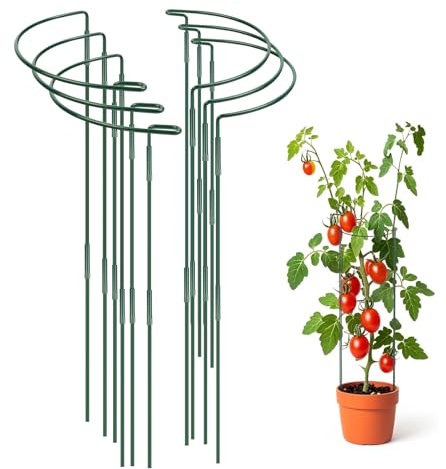 LCUHAVA 6 Pcs Tuteur Plante Interieur Semi Circulaires 25 X 60cm, Métaltuteurs Tuteur Plante, Tuteur Tomate Tuteur Tomate avec 10 étiquettes De Plantes pour Tomates, Pivoines, Tomates et Arbustes