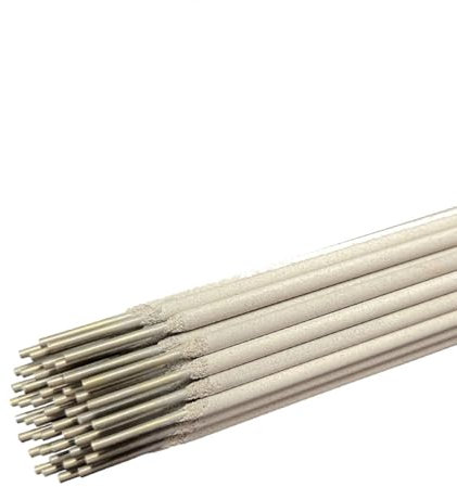 Purzen 1.6mm 1kg 110pcs, Acier Inoxydable Soudure à Arche de 4.0mm 1kg 16pcs électrodes Cannes Cannes