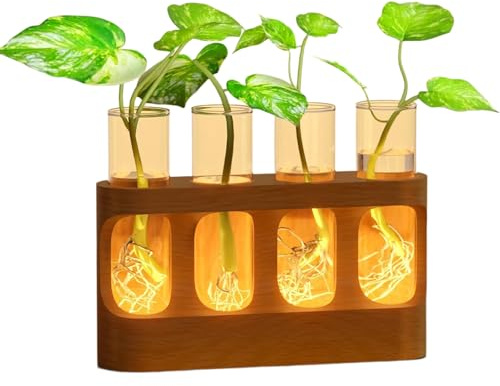 Pflanzenanzuchtstation - Dekorativ, Hydrokultur für Schlafzimmer, Terrarium mit LED-Lichtern, Reagenzgläser, Indoor-Gartenarbeit, Anzucht für Badezimmer, Zuhause und Senioren, Jugendliche