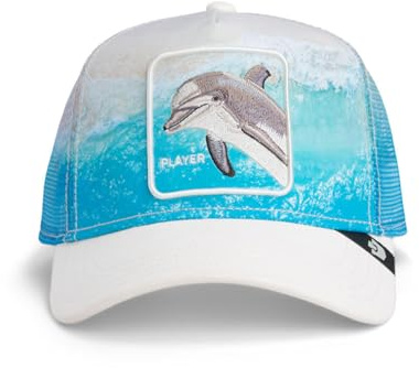 Goorin Dolphin in The Element dust