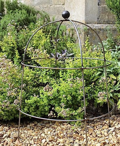 GAP GARDEN PRODUCTS Solid Metal Cloche/Cage Herbaceous Perennial Plant Support (Pack of 2) Supplied Bare Metal (rusty patina finish)