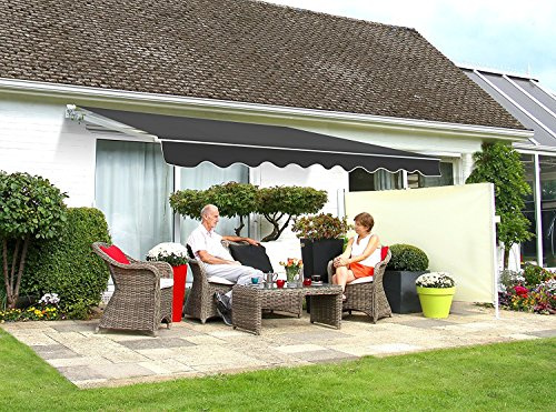 Primrose 3.5m x 2.5m Manual Awning Standard Cassette DIY Patio Awning Gazebo Canopy UV Protection Waterproof Complete with Fittings and Winder Handle (Charcoal)