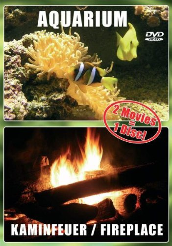 Aquarium / Kaminfeuer
