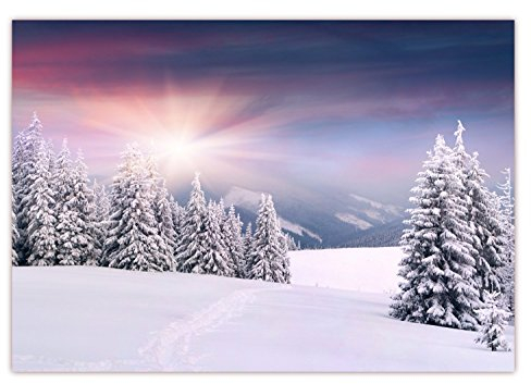 LYSCO XXL Poster 100 x 70cm (F-209) Winterlandschaft mit schneebedeckten Bäumen, die Sonne strahlt vom Himmel (Lieferung gerollt!)