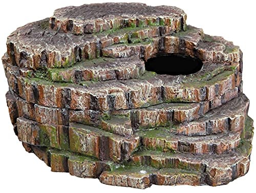 TRIXIE Schlangenhöhle - Regenwaldoptik - optimale Rückzugsmöglichkeit - ideal als Häutungsplatz - auch für Aquarien - Deckel abnehmbar - Polyesterharz - 26 x 20 x 13 cm - 76199