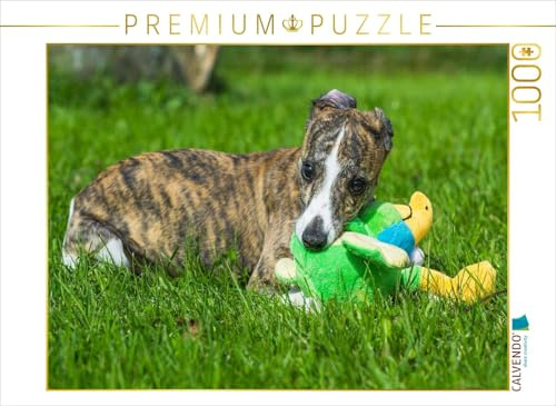 CALVENDO Puzzle EIN Motiv aus dem Kalender Schnell wie der Wind - Whippet | 1000 Teile Lege-Größe 64 x 48 cm Foto-Puzzle für glückliche Stunden