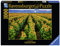 Ravensburger Sonnenblumenfeld-Puzzle - (1000 Teile)