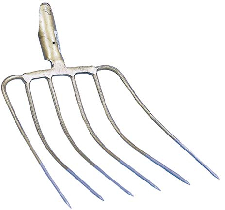 Fourchette à maïs 6 dents 36 x 34 cm sans manche